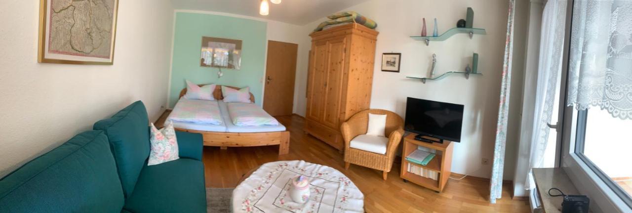 Haemmerle Fewo Holiday Apartment - Green คอนสตานซ์ ภายนอก รูปภาพ