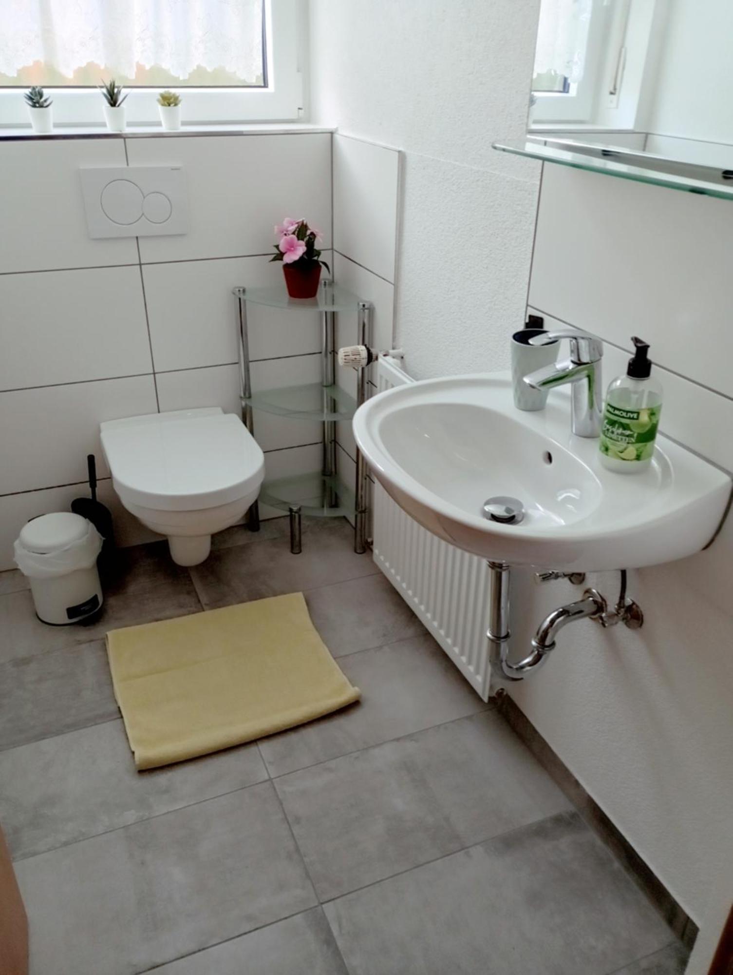 Haemmerle Fewo Holiday Apartment - Green คอนสตานซ์ ภายนอก รูปภาพ